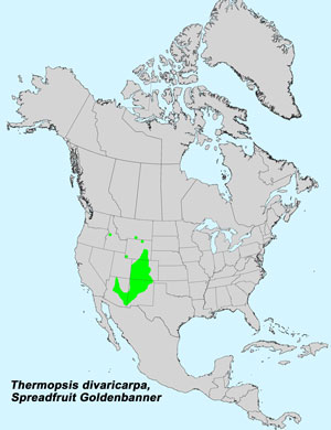 North America species range map for Spreadfruit Goldenbanner, Thermopsis divaricarpa: 